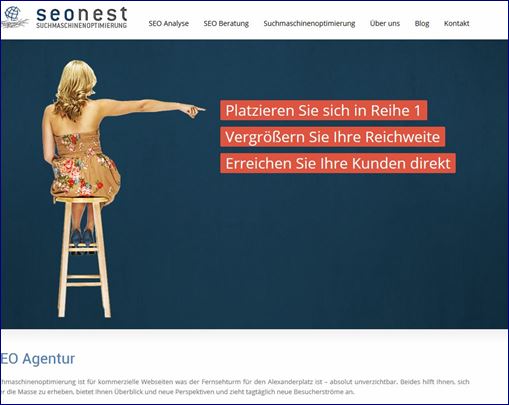 Webseiten Screenshot Seonest Seo Agentur